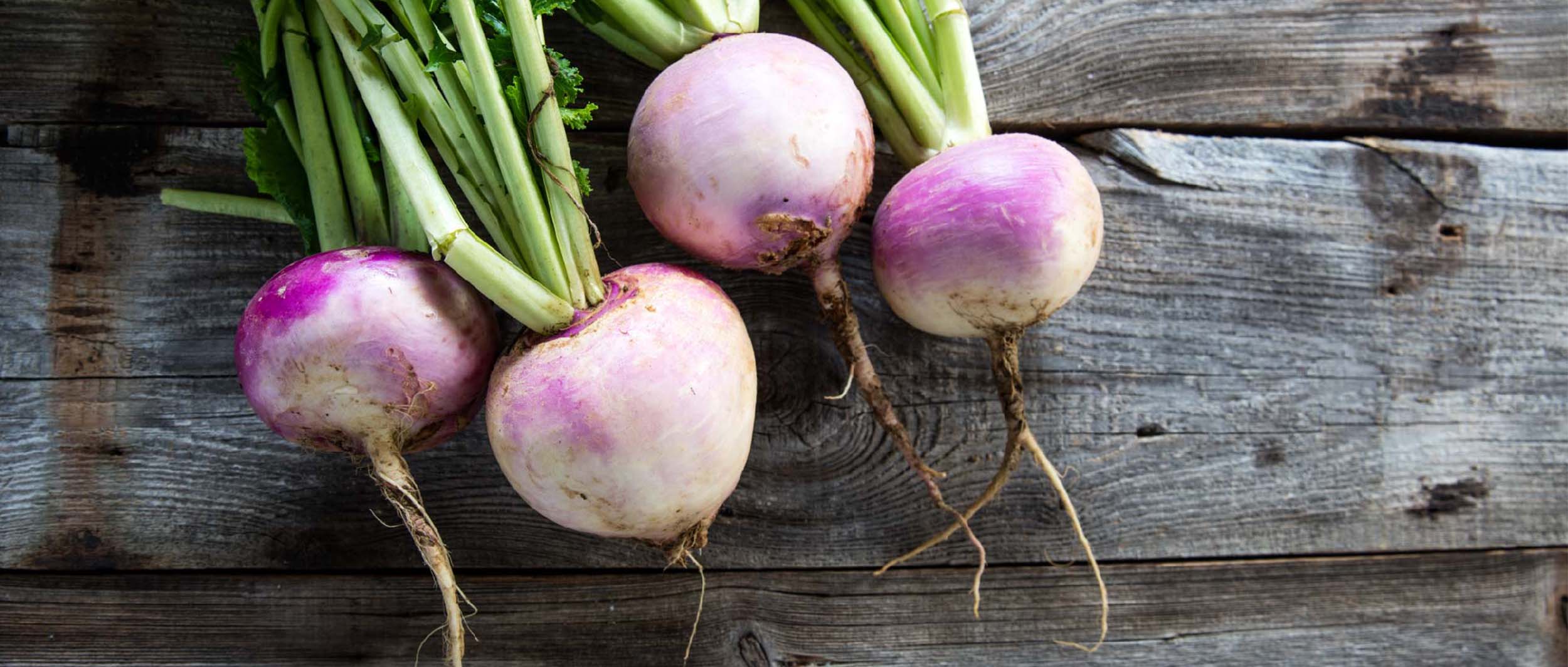Harvest of the Month Turnips Go Live Smart Go Live Smart